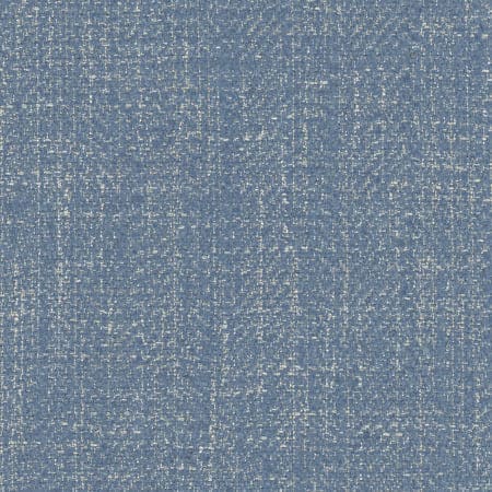 FALL POINT Denim Carole Fabric