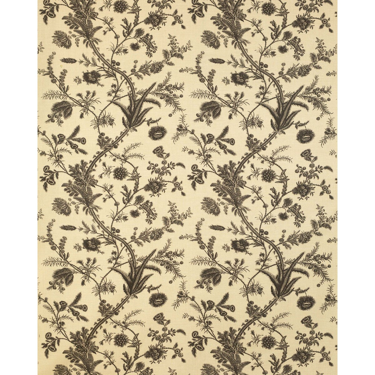 2022123-816 PLUMES BLACK LEE JOFA Fabrics Drapery Upholstery