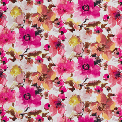 20460-01 Floral nan Pink Charlotte Select