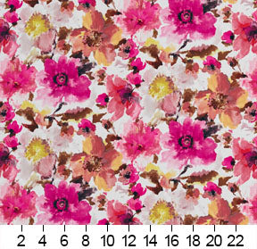 20460-01 Floral nan Pink Charlotte Select