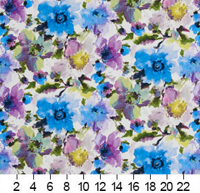 20460-02 Floral nan Blue,Purple Charlotte Select