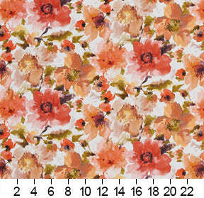 20460-03 Floral nan Coral & Peach Charlotte Select