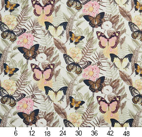 20470-01 Floral,Tropical & Botanical nan Brown,Pink Charlotte Select