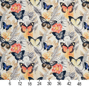 20470-03 Floral,Tropical & Botanical nan Coral & Peach Charlotte Select