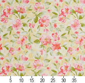 20500-01 Floral nan Gold & Yellow,Pink Charlotte Select