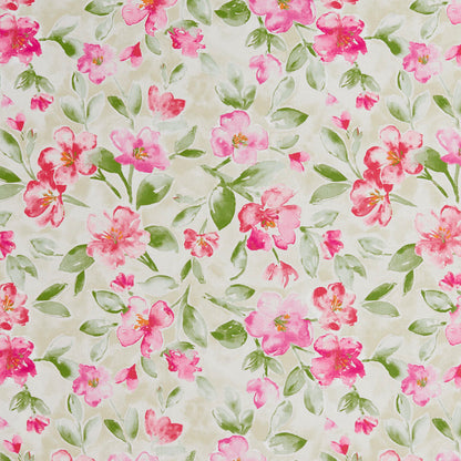 20500-05 Floral nan Pink Charlotte Select