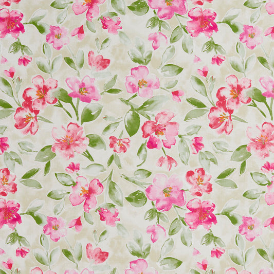 20500-05 Floral nan Pink Charlotte Select
