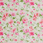 20500-05 Floral nan Pink Charlotte Select