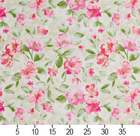 20500-05 Floral nan Pink Charlotte Select