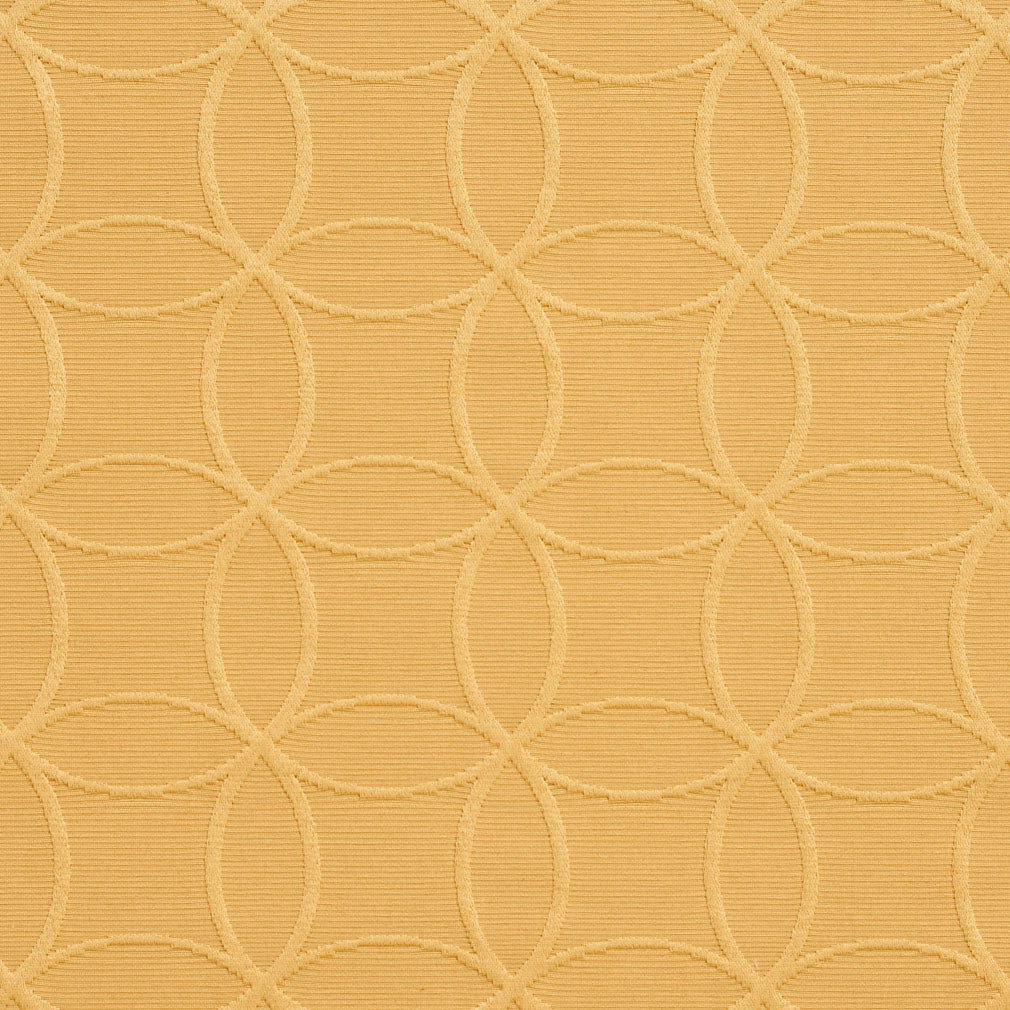 20610-09 Abstract & Geometric nan Gold & Yellow Charlotte Select