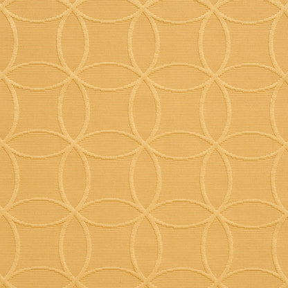 20610-09 Abstract & Geometric nan Gold & Yellow Charlotte Select
