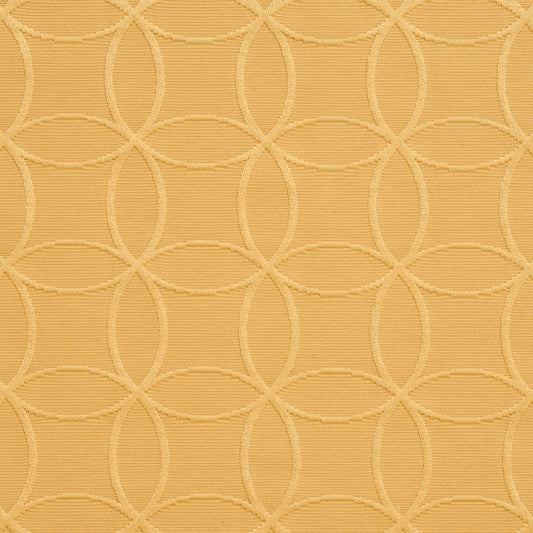 20610-09 Abstract & Geometric nan Gold & Yellow Charlotte Select