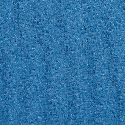 20620-06 Small Scale nan Blue Charlotte Select
