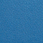 20620-06 Small Scale nan Blue Charlotte Select