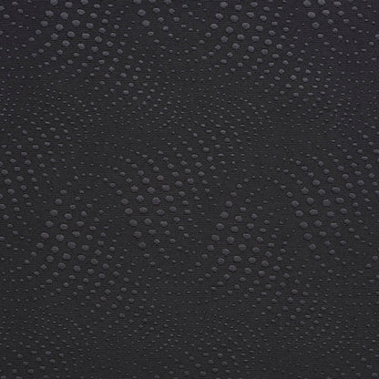 20650-08 Abstract & Geometric nan Black Charlotte Select