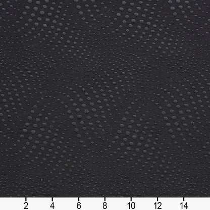 20650-08 Abstract & Geometric nan Black Charlotte Select