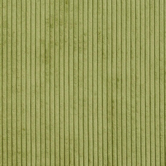 20700-01 Plain & Solid,Small Scale,Stripe nan Green Charlotte Select