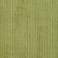 20700-01 Plain & Solid,Small Scale,Stripe nan Green Charlotte Select