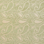 20800-06 Paisley nan Green Charlotte Select