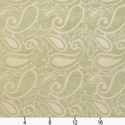 20800-06 Paisley nan Green Charlotte Select