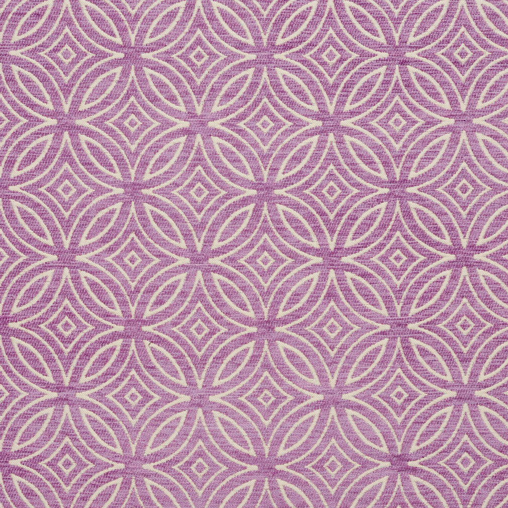 20810-02 Abstract & Geometric nan Purple Charlotte Select