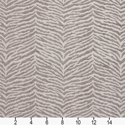 20870-01 Abstract & Geometric,Animal Print nan Grey & Silver Charlotte Select