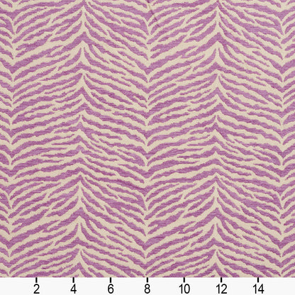 20870-02 Abstract & Geometric,Animal Print nan Purple Charlotte Select
