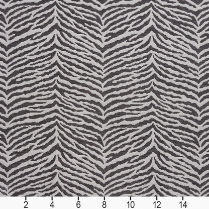 20870-05 Abstract & Geometric,Animal Print nan Grey & Silver Charlotte Select