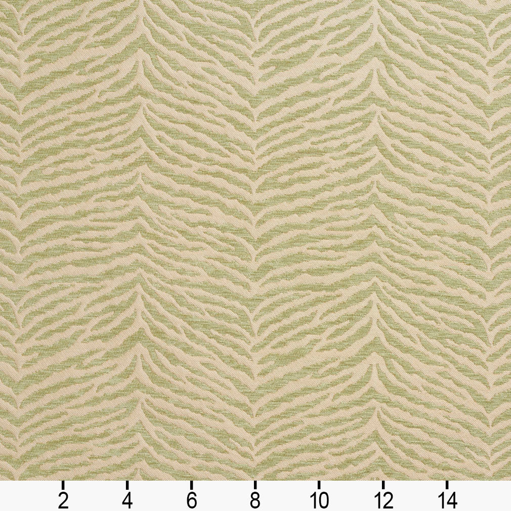 20870-06 Abstract & Geometric,Animal Print nan Green Charlotte Select