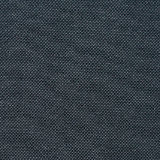 20900-02 Plain & Solid nan Grey & Silver Charlotte Select