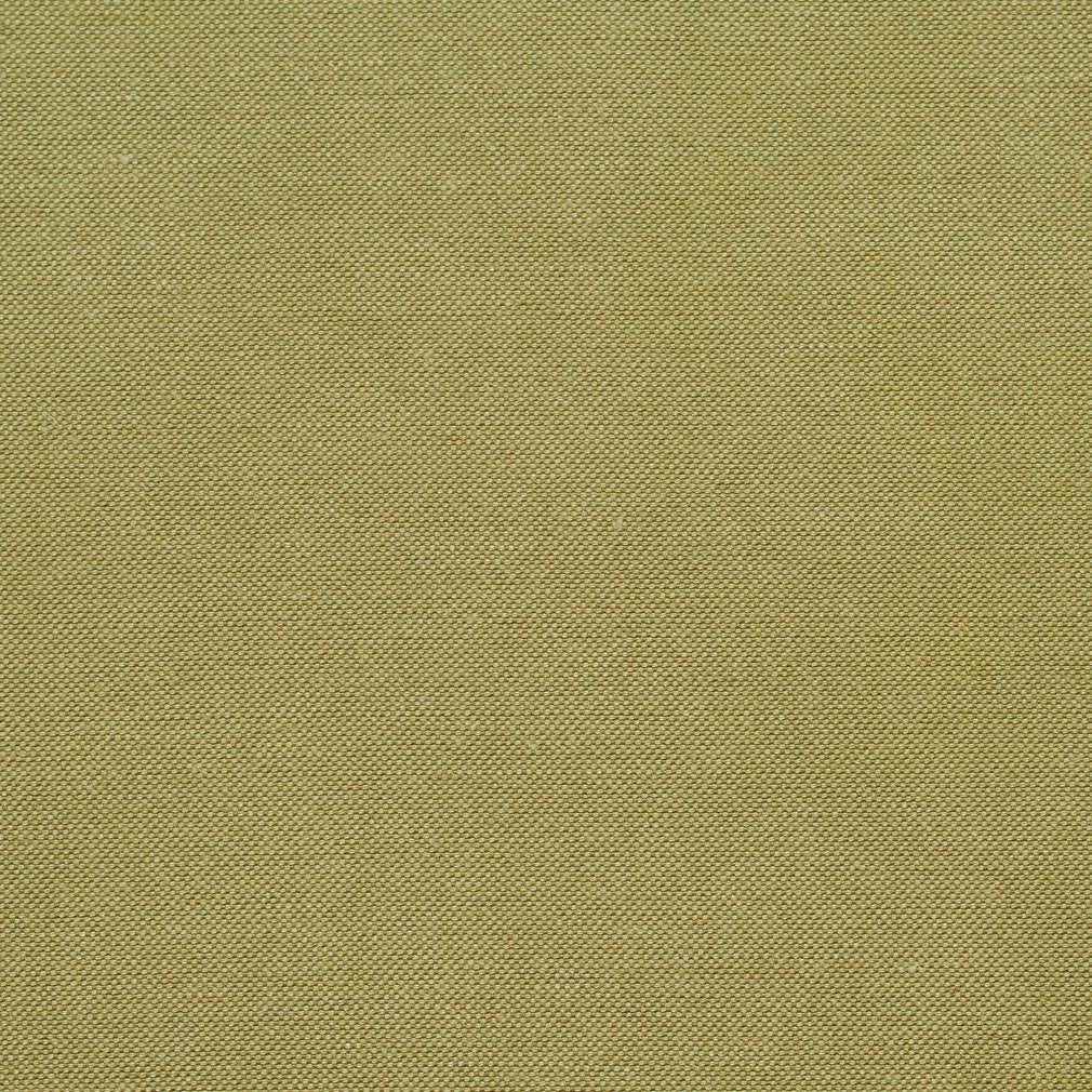 20900-03 Plain & Solid nan Green Charlotte Select