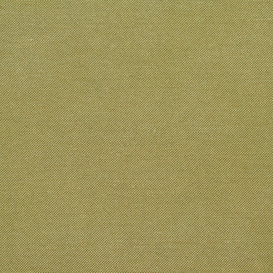 20900-03 Plain & Solid nan Green Charlotte Select