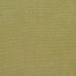20900-03 Plain & Solid nan Green Charlotte Select