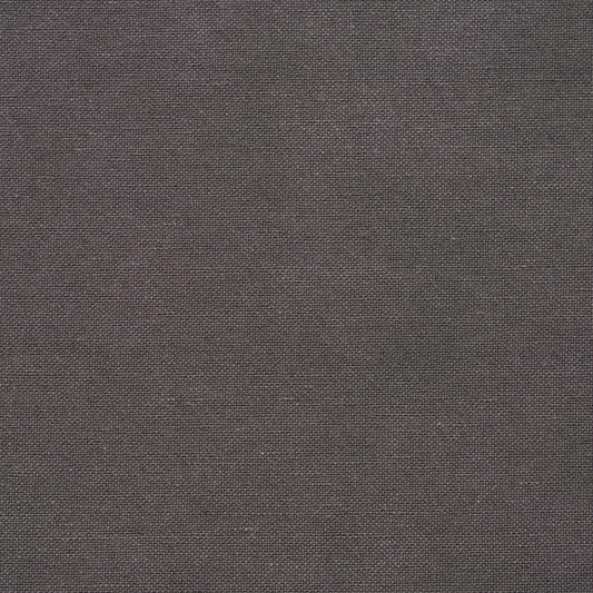 20900-04 Plain & Solid nan Grey & Silver Charlotte Select