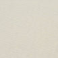 20900-07 Plain & Solid nan White & Ivory Charlotte Select