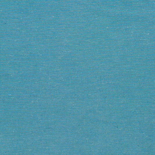 20900-08 Plain & Solid nan Blue Charlotte Select