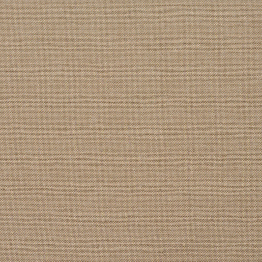 20900-09 Plain & Solid nan Beige & Taupe Charlotte Select