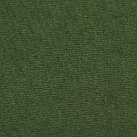 20940-04 Plain & Solid nan Green Charlotte Select