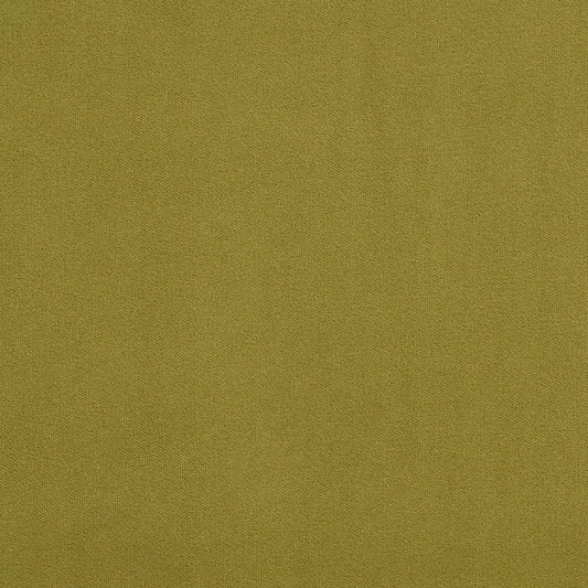 20940-08 Plain & Solid nan Green Charlotte Select