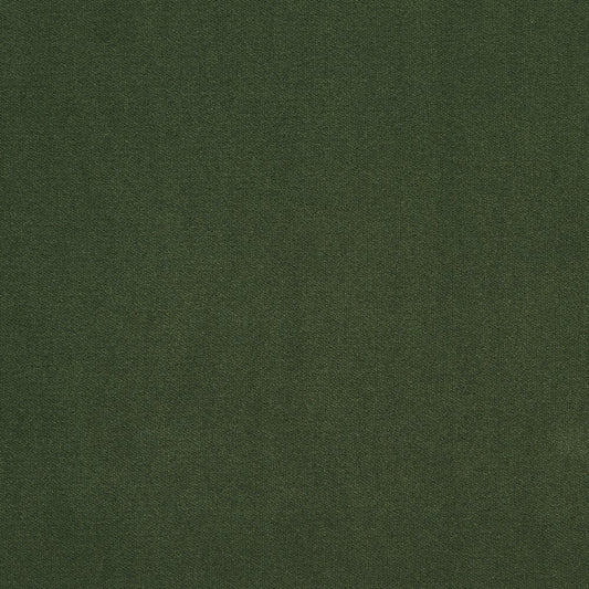 20940-25 Plain & Solid nan Green Charlotte Select