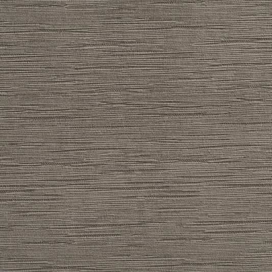 2178 Plain & Solid Pewter Grey & Silver Charlotte Fabrics