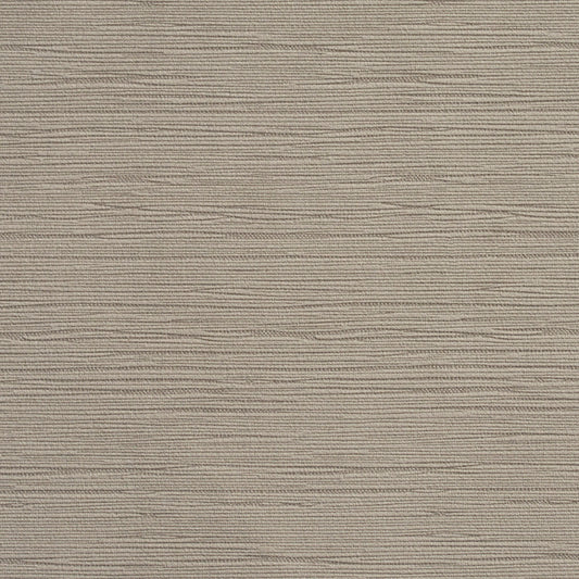 2187 Plain & Solid Sterling Grey & Silver Charlotte Fabrics