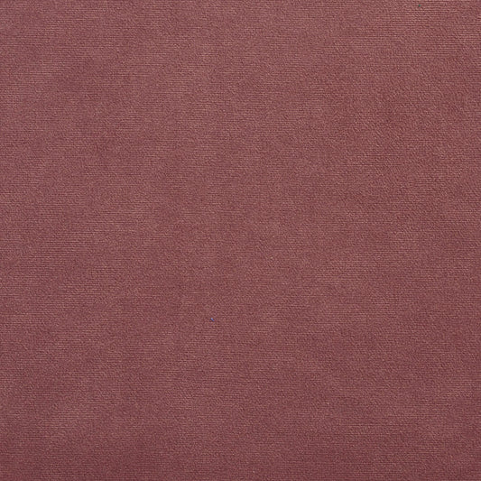 2200 Plain & Solid Dusty Plum Purple Charlotte Fabrics