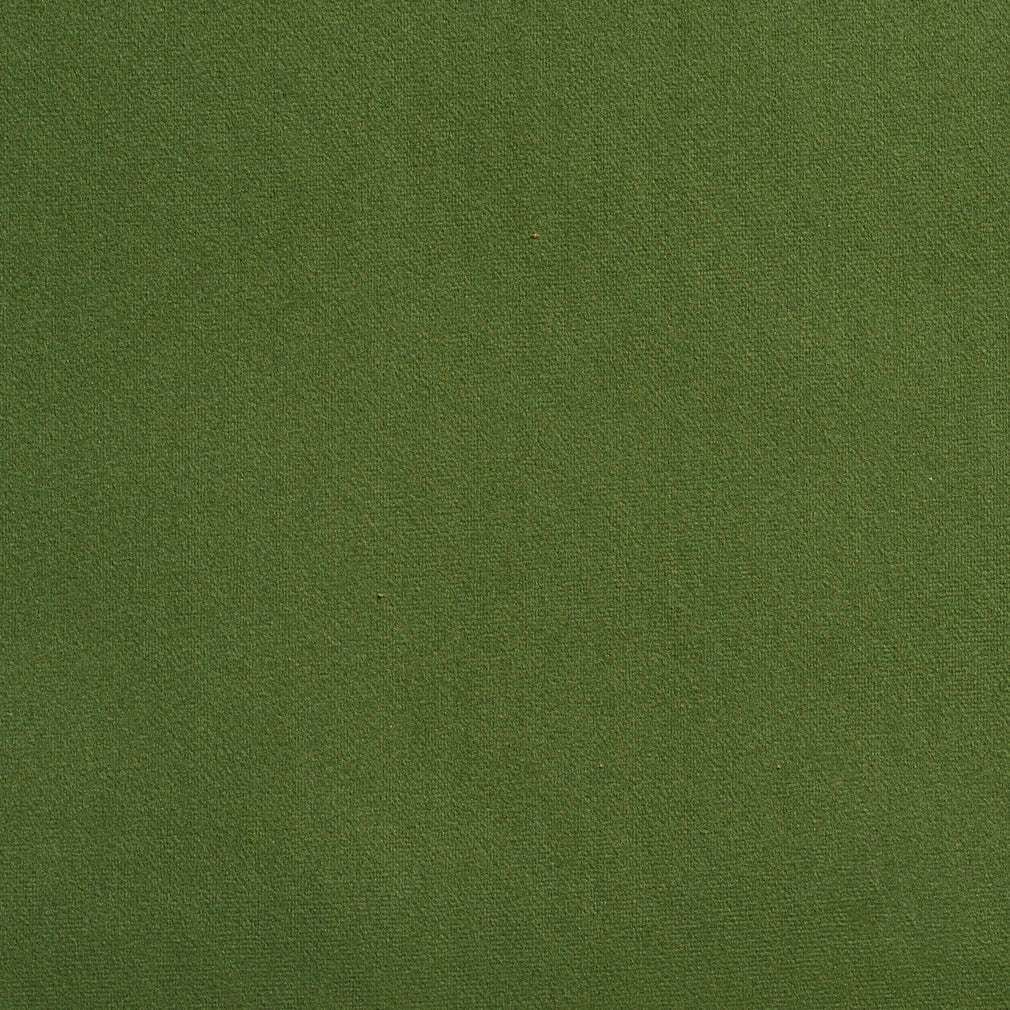 2205 Plain & Solid Juniper Green Charlotte Fabrics
