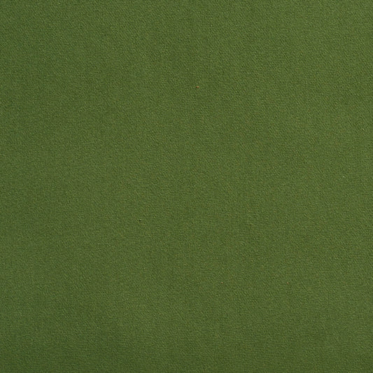 2205 Plain & Solid Juniper Green Charlotte Fabrics
