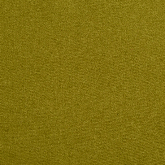 2208 Plain & Solid Spring Green Charlotte Fabrics