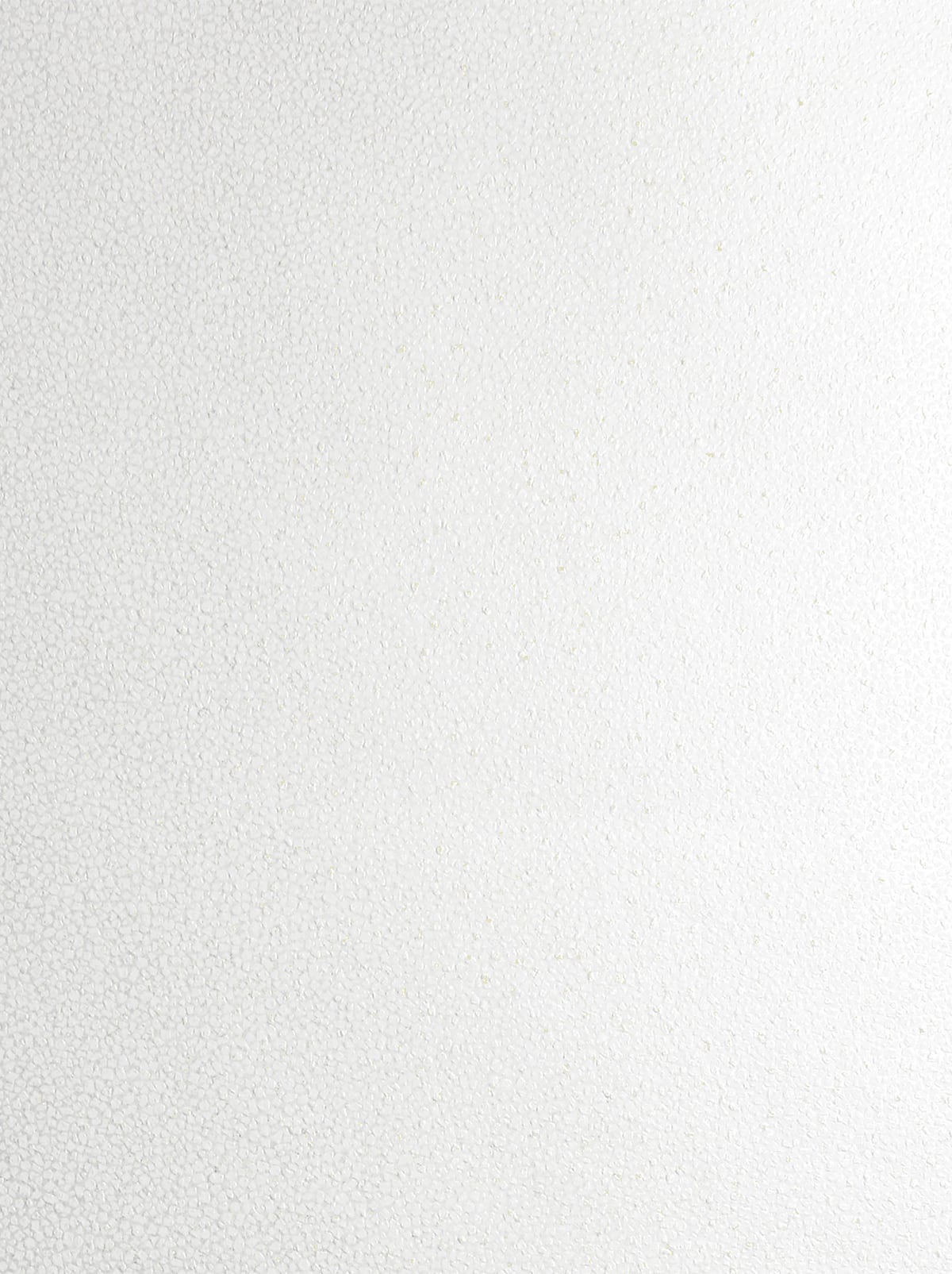 2231633 Etten Studios Essential Textures Wallpaper Mica Texture Metallic Pearl & Champagne