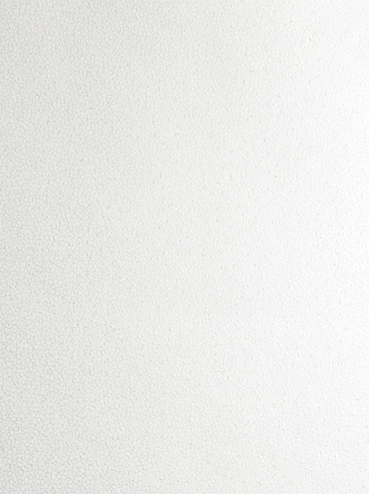 2231633 Etten Studios Essential Textures Wallpaper Mica Texture Metallic Pearl & Champagne