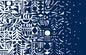 23325X Marimekko Marimekko Vol. 5 Wallpaper Yön Varjo Midnight Blue and Off-White