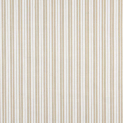 2460 Stripe Sand Classic Beige & Taupe Charlotte Fabrics